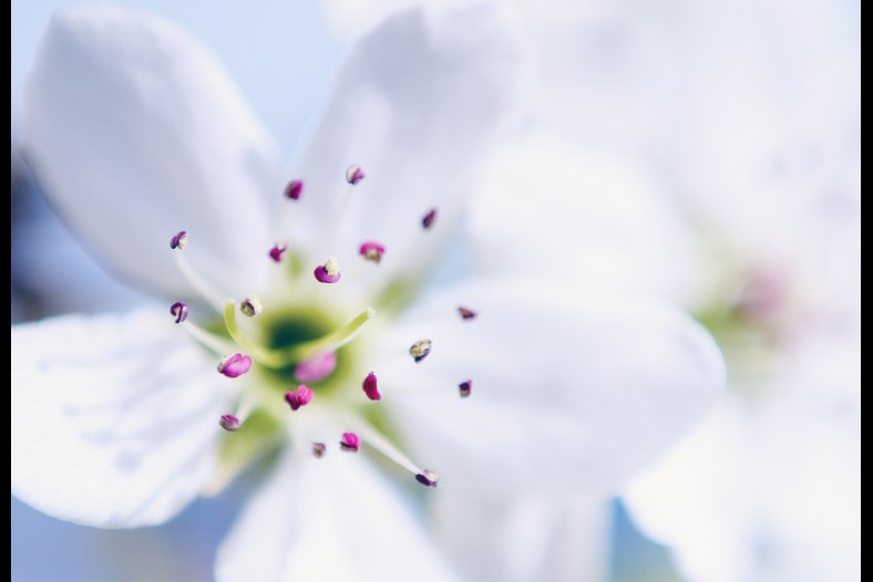 Spring Has Sprung